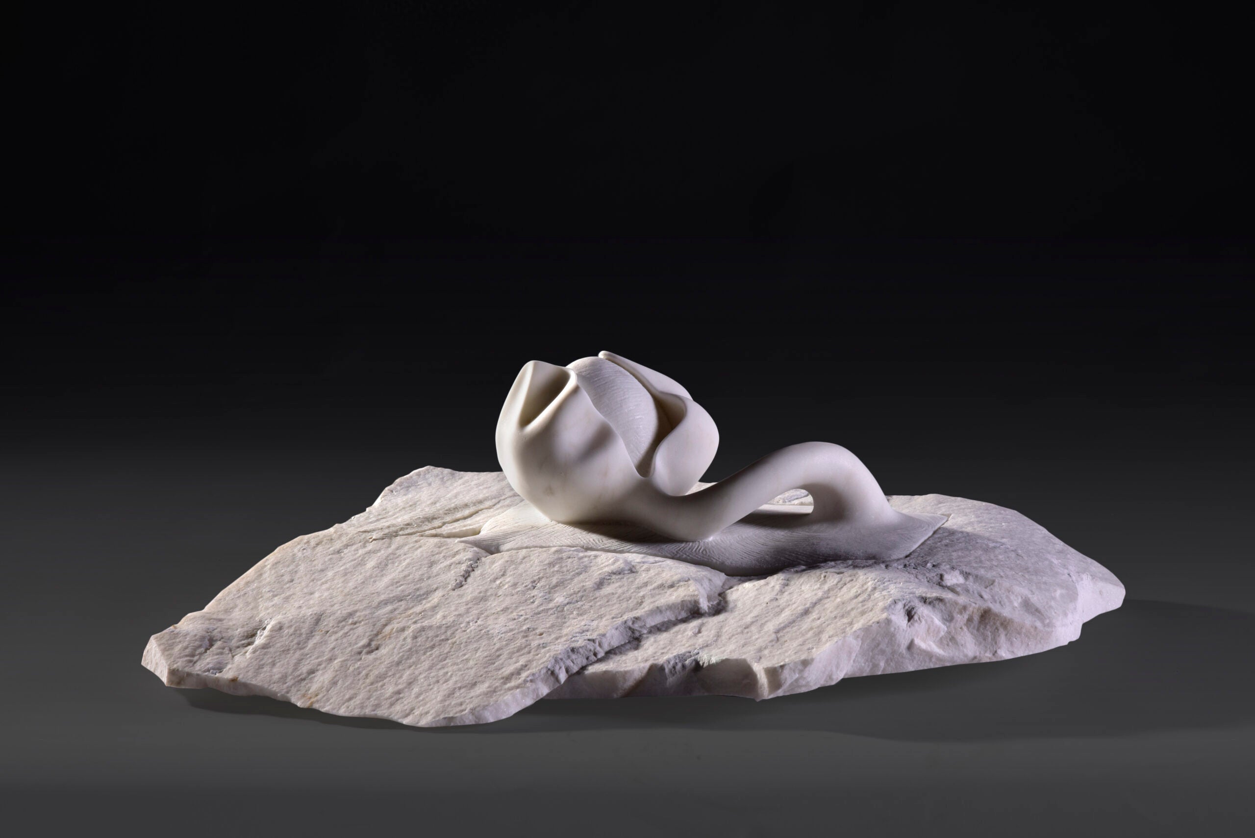 Anima E Corpo "Body And Soul"