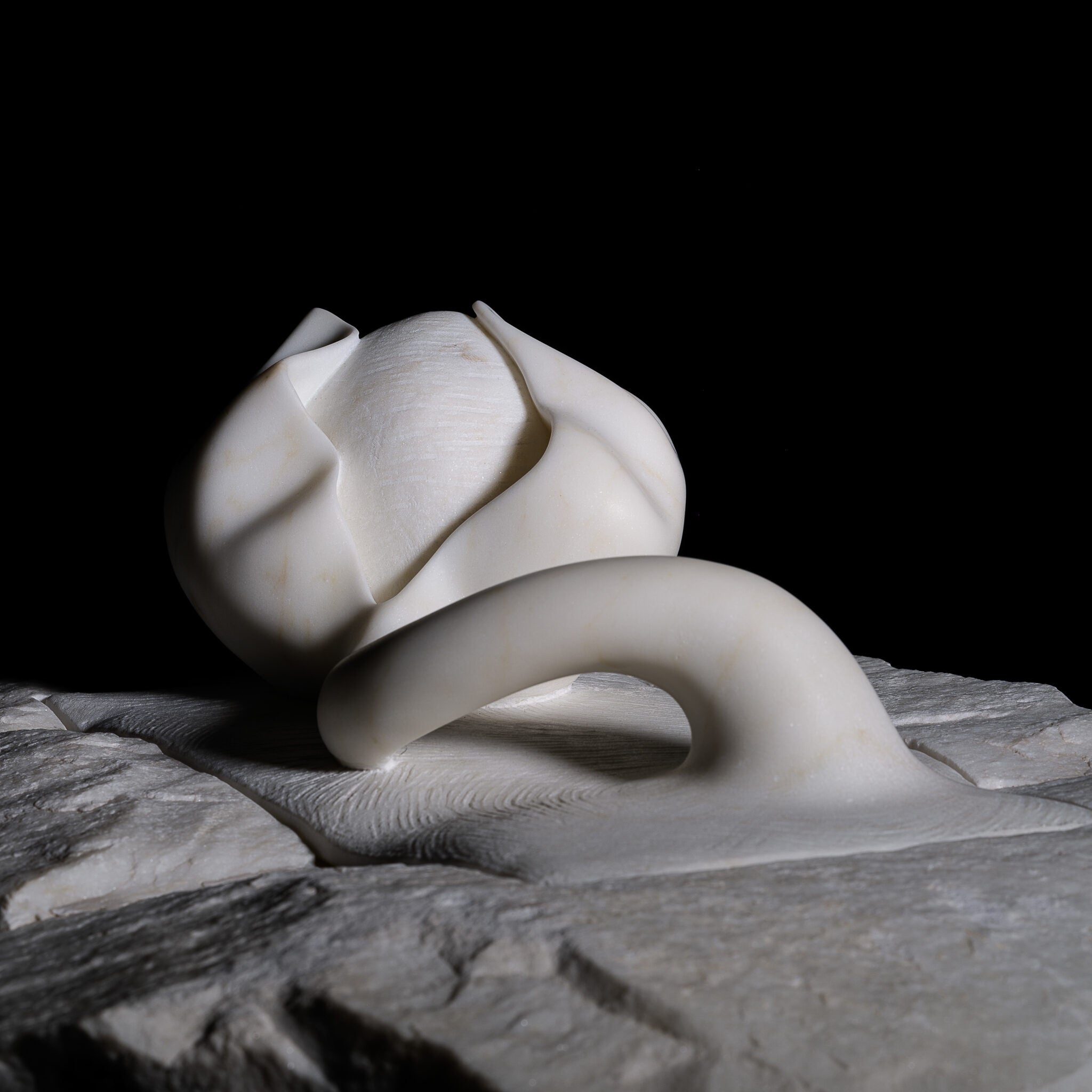 Anima E Corpo "Body And Soul"