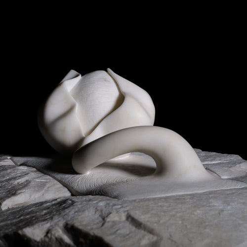 Anima E Corpo "Body And Soul"